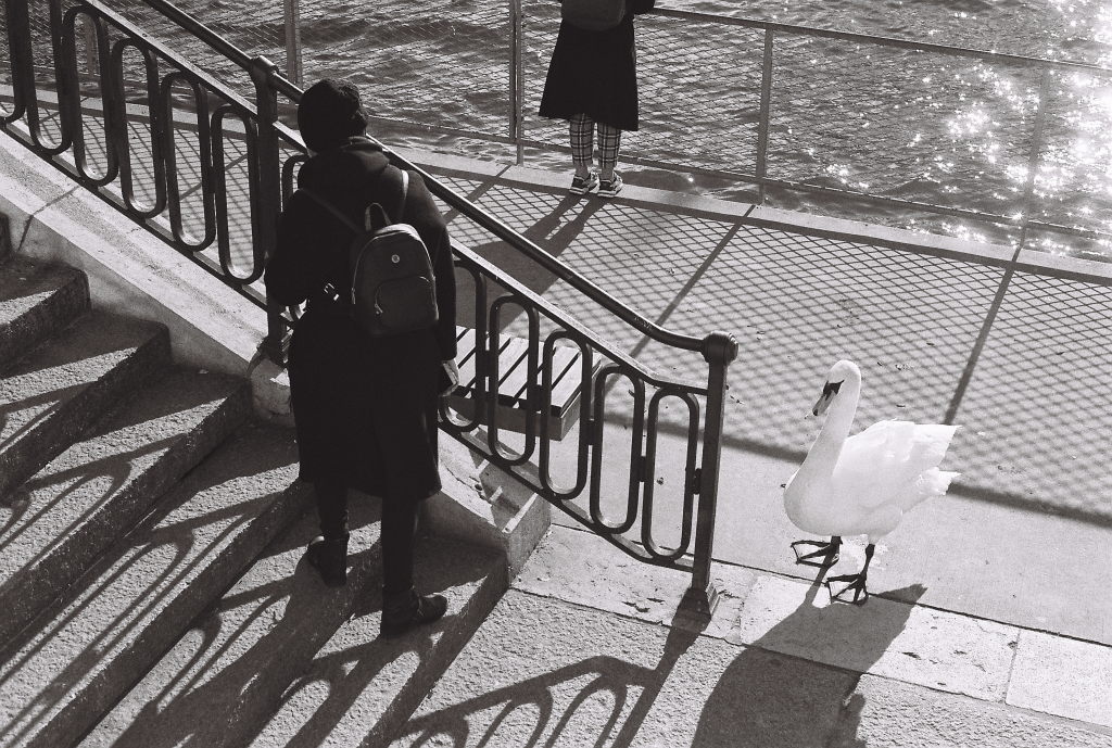 Femme au cygne - Canon - N&B - 19 janvier 2020